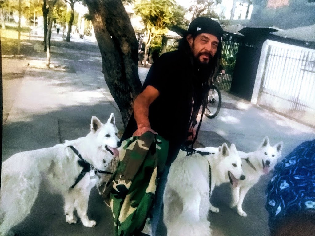 Perro