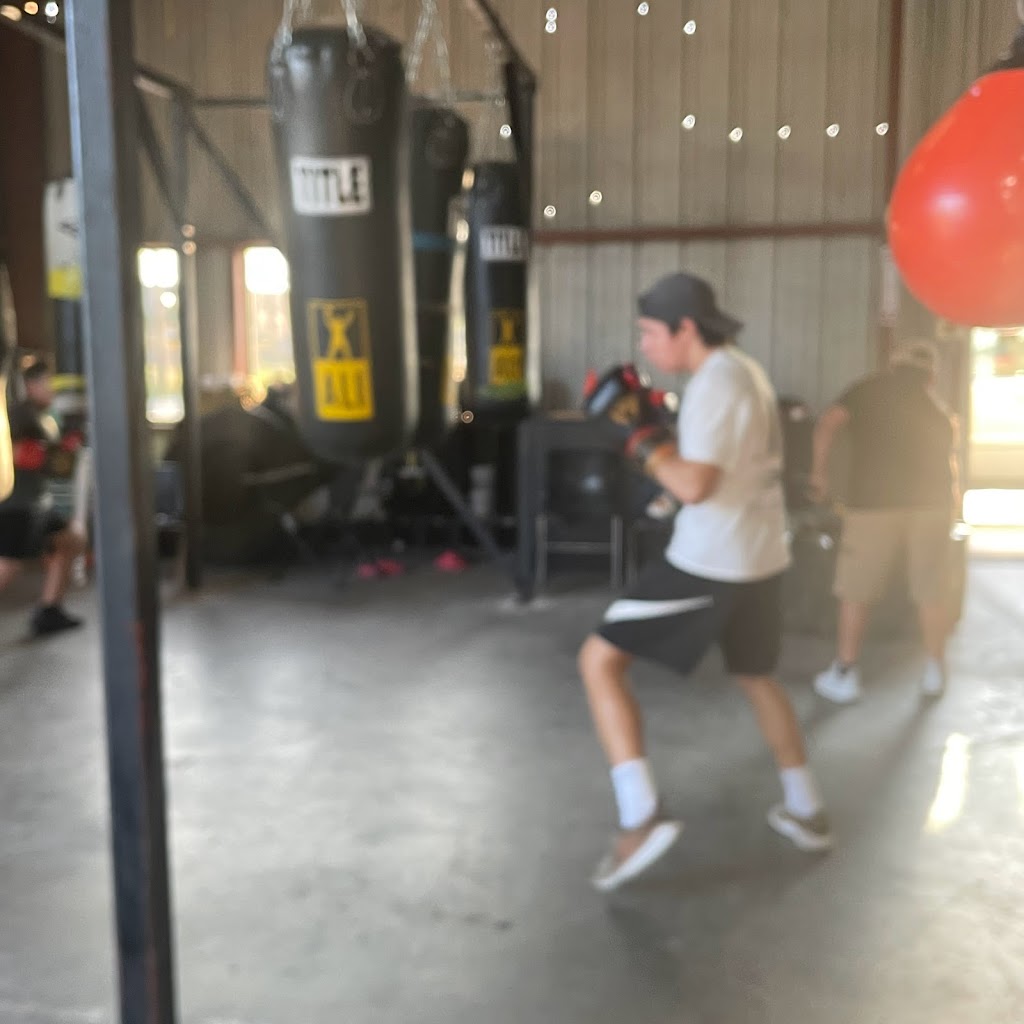  Semper Fit Boxing Gym