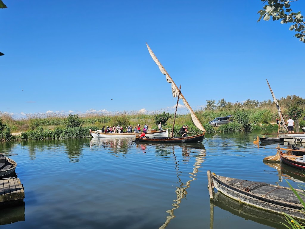 Paseos en barca Puerto Catarroja