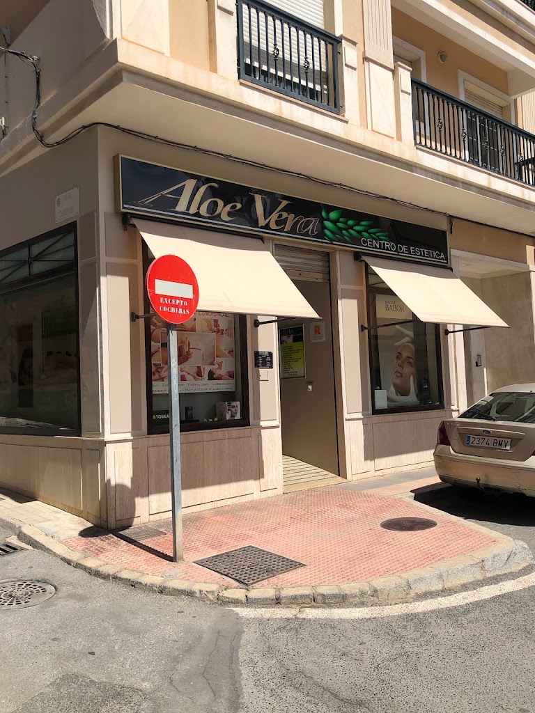 Aloe Vera — Exterior