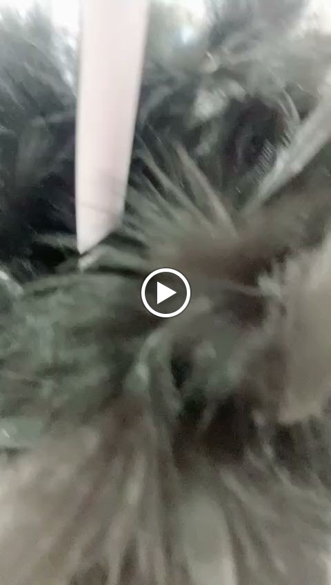 Go+harmony — Videos