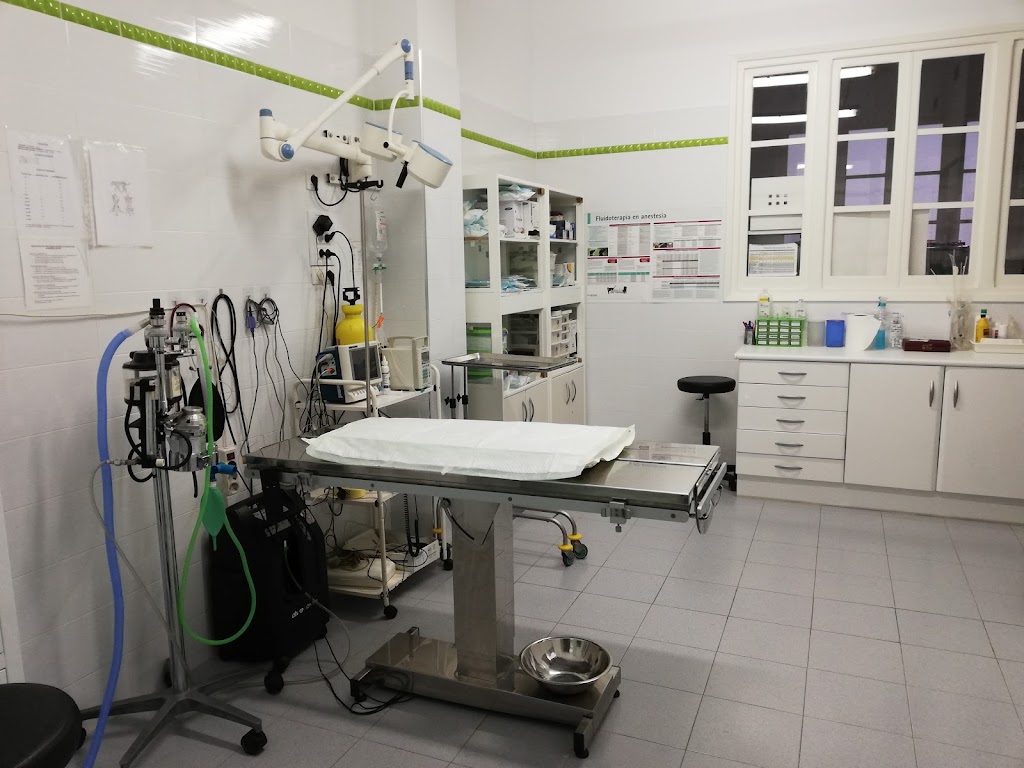 Clinica Veterinaria Raquel Guallart — Del propietario