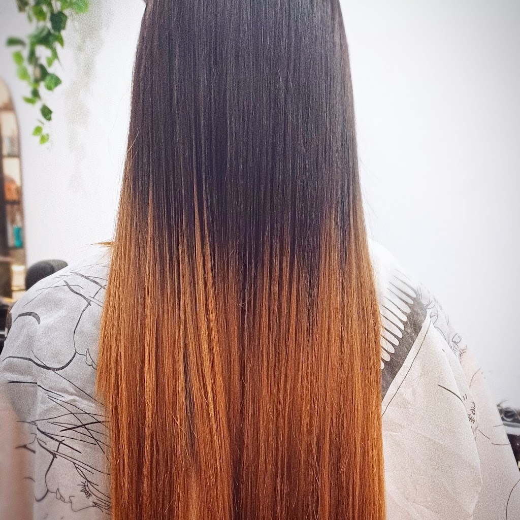 Z Studio Professional Unisex Salon