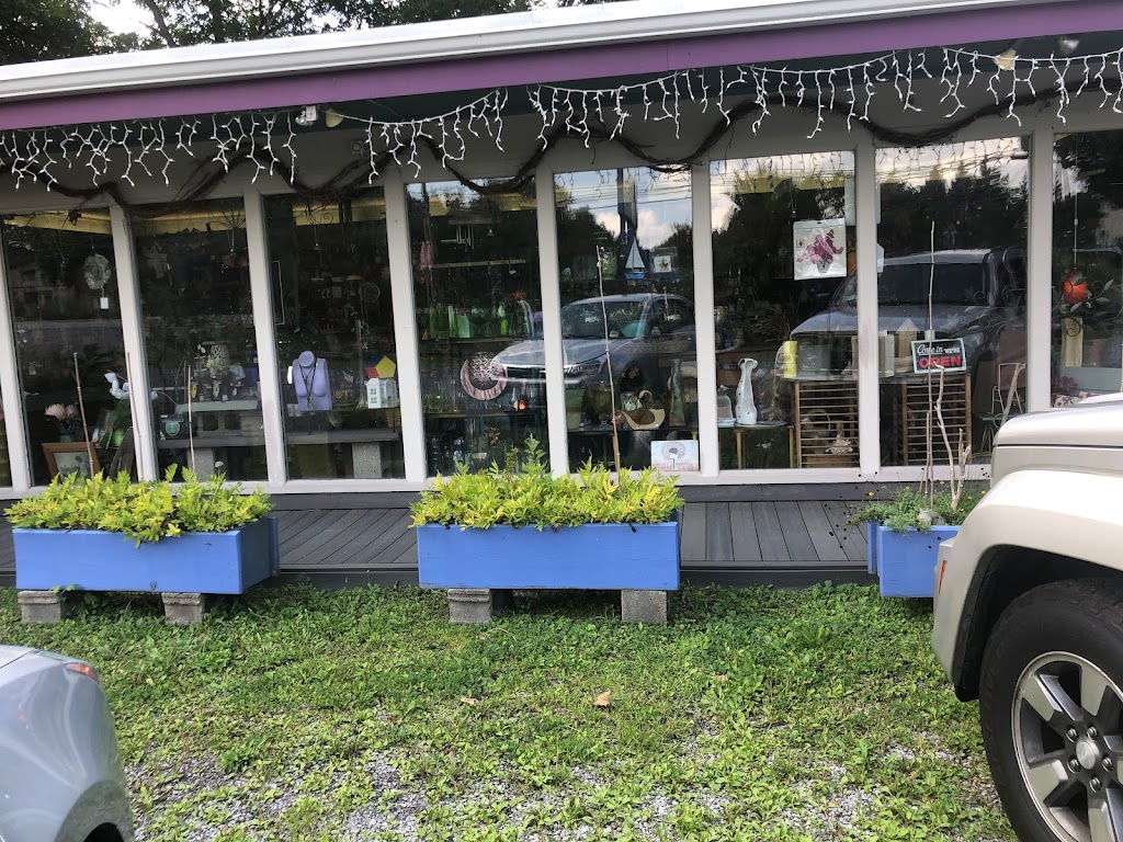 A Snails Place