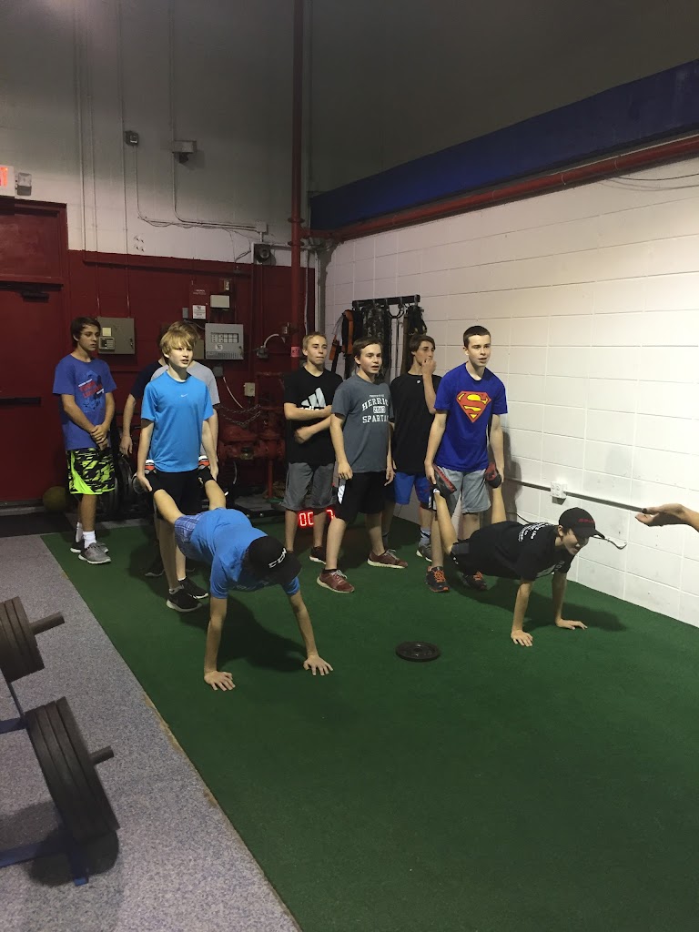  The Functional Athlete