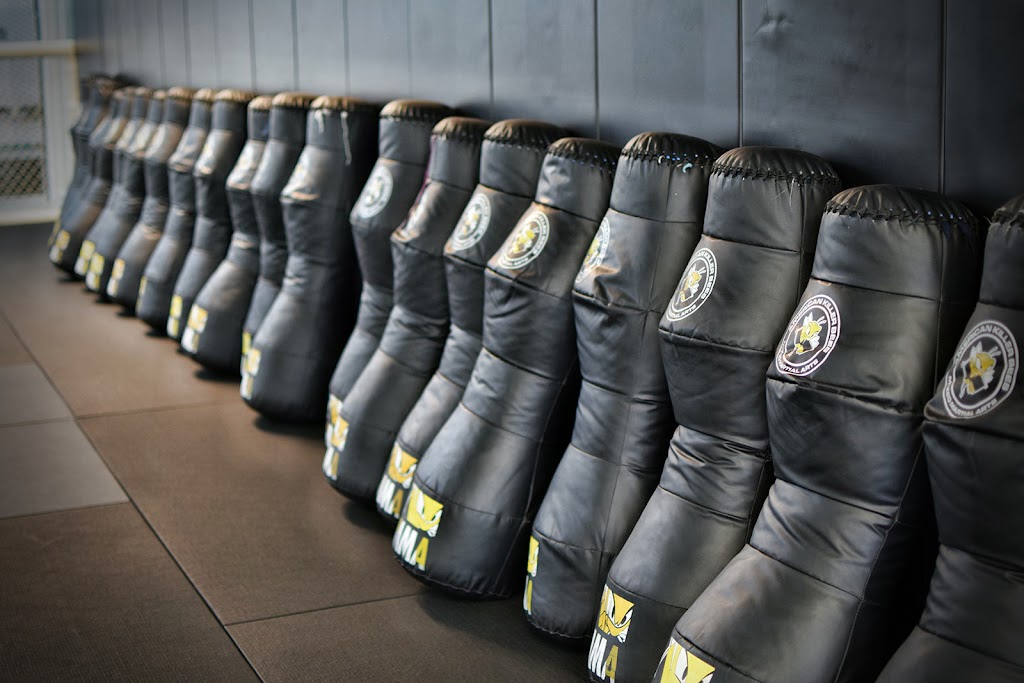  American Killer Bees HQ