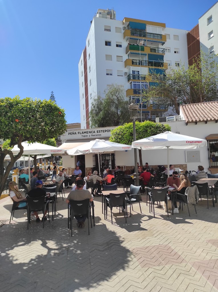 Pena Flamenca de Estepona — Ambiente