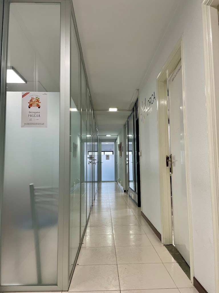 Lorca Institute — Del propietario