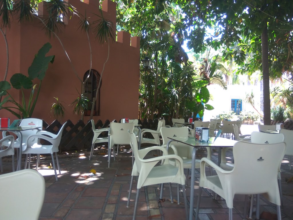 Bar Ficus — Ambiente