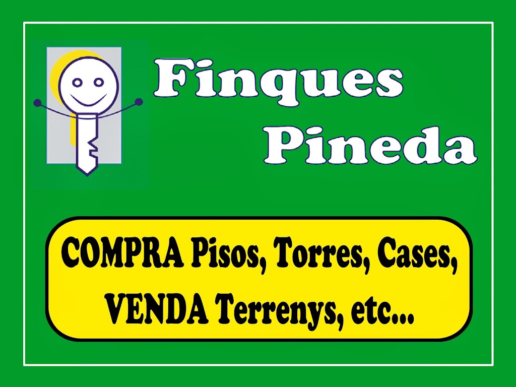FINQUES PINEDA — Del propietario