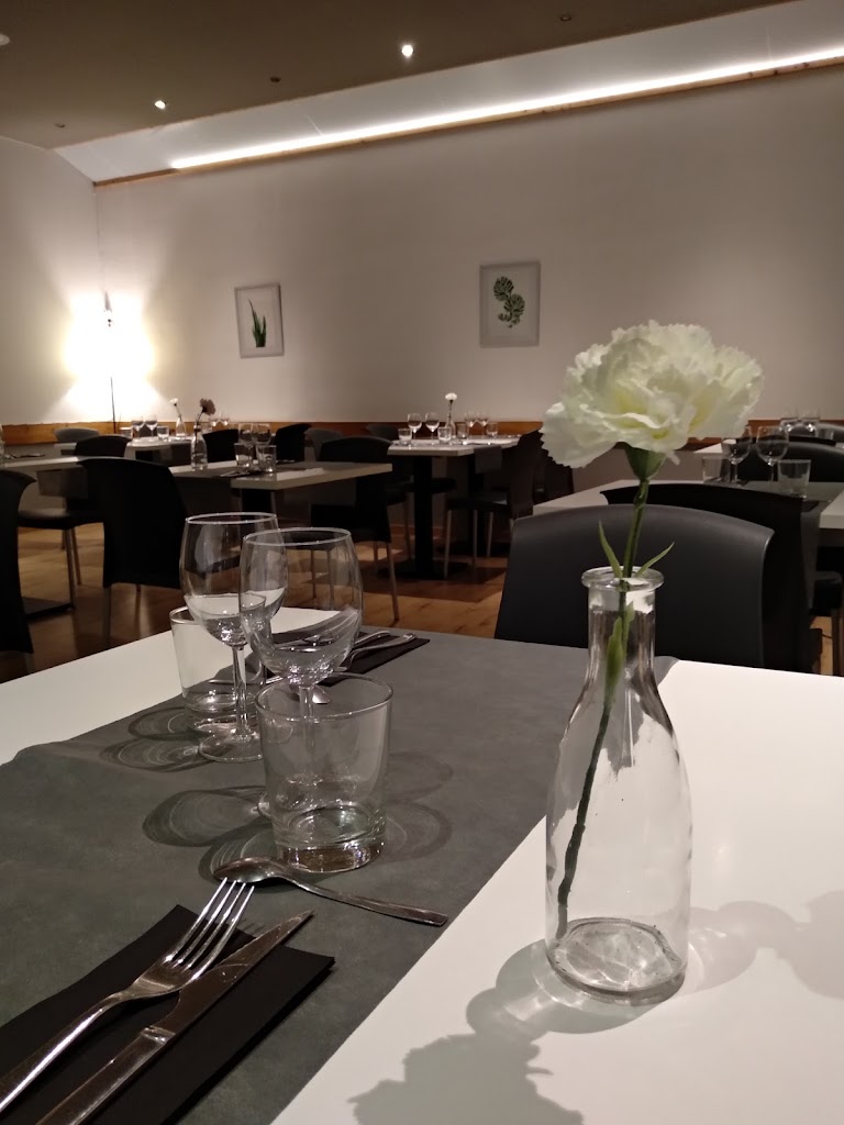 Octubre — Ambiente