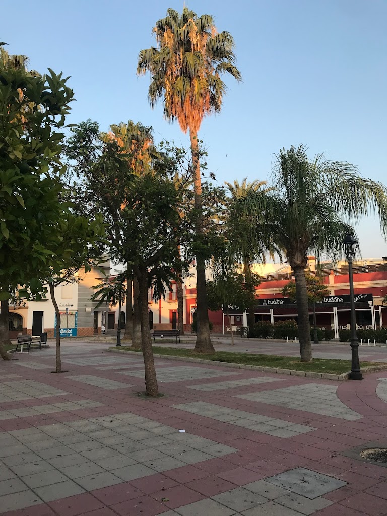 Plaza Sr. Cardenal-Arzobispo Emerito de Sevilla D. Fray Carlos Amigo Vallejo