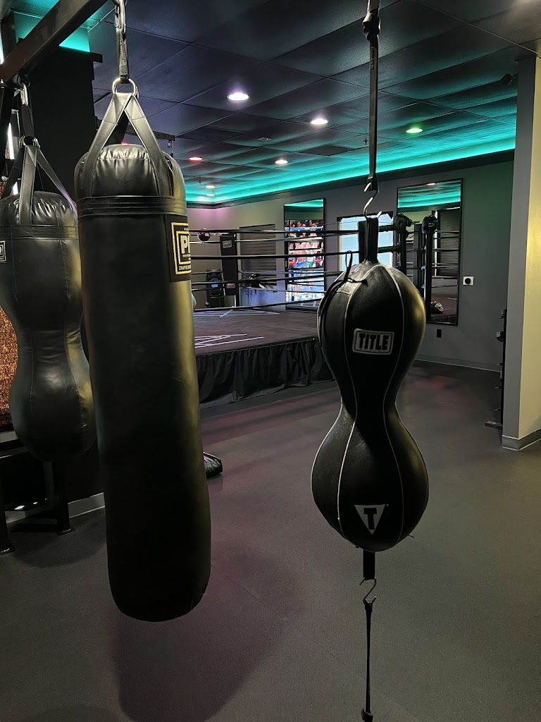  GlovedEra Boxing