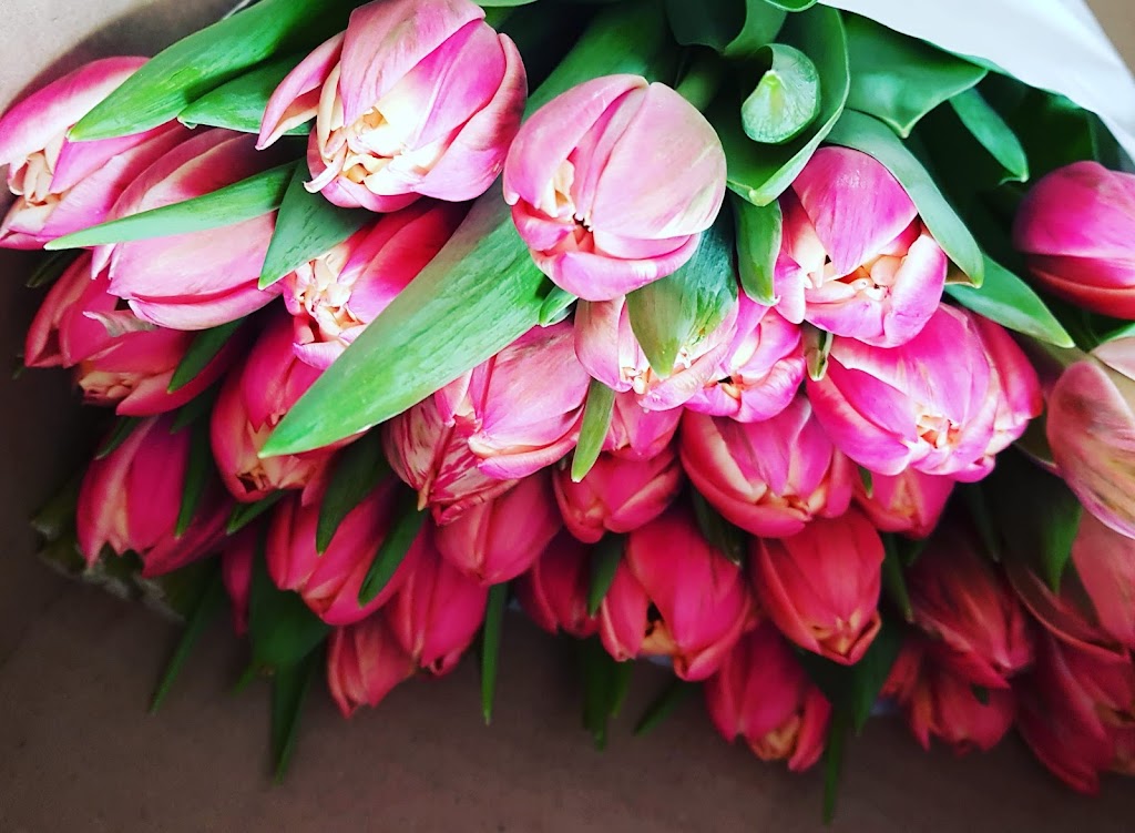 El rancho de las flores