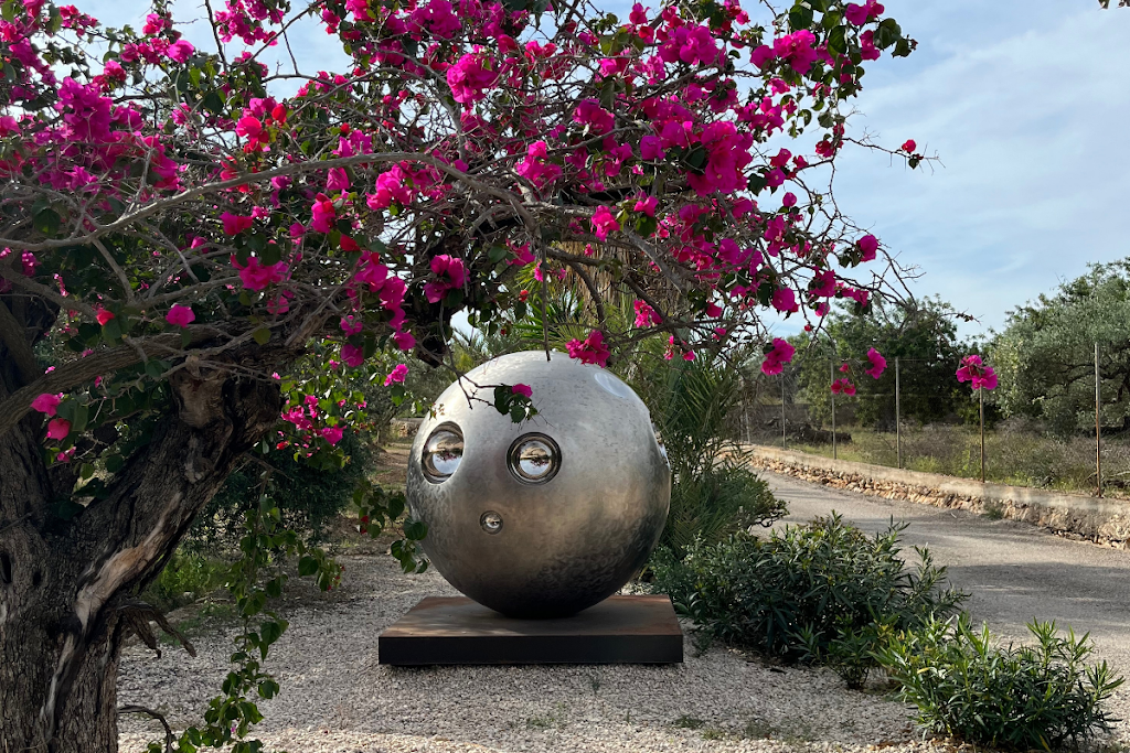 Museo de Arte Contemporaneo, Arte-Contemporary — Del propietario