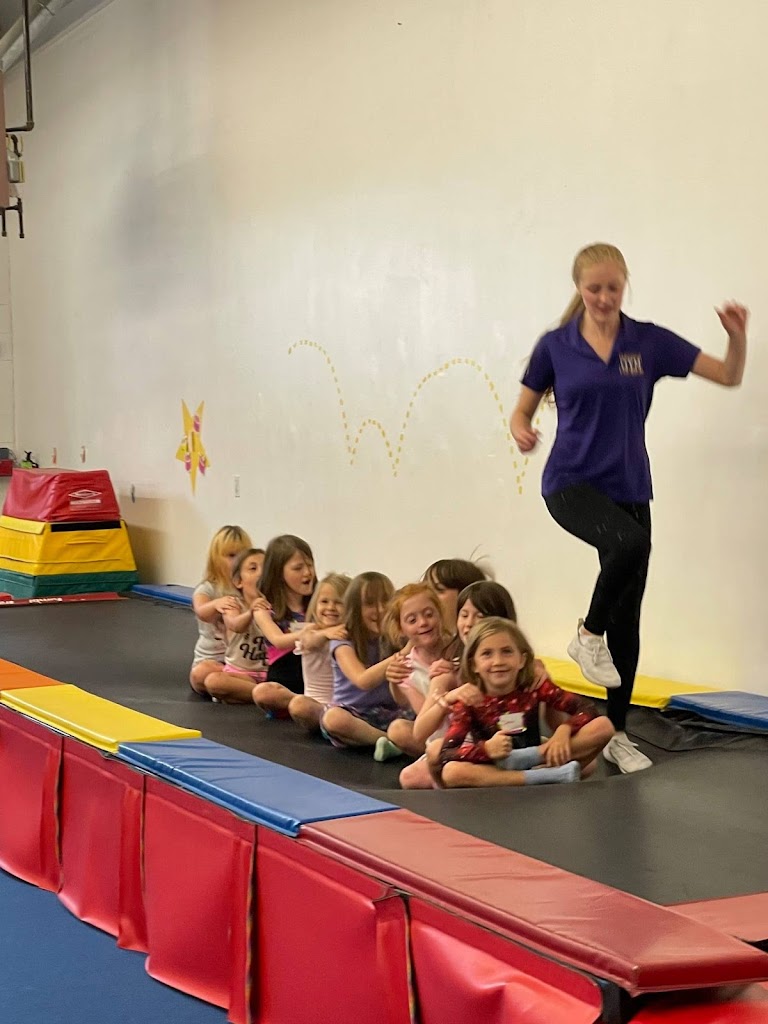  Flippers Gym Program