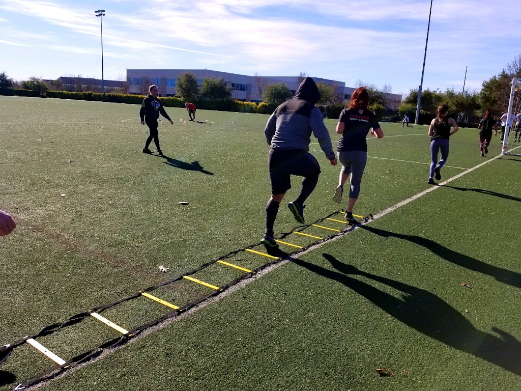  Distinct Physique Fitness