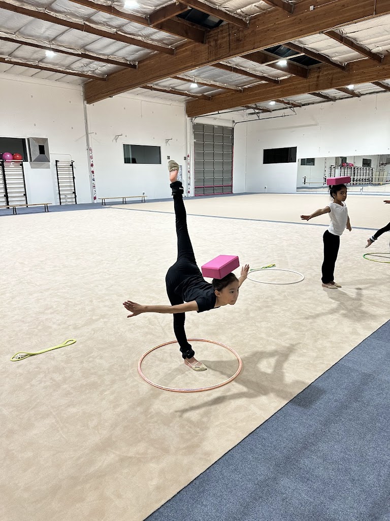  Etude Rhythmic Gymnastics