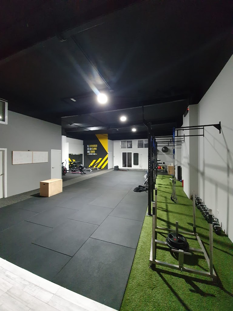 Piqueras trainer centro de entrenamiento y salud