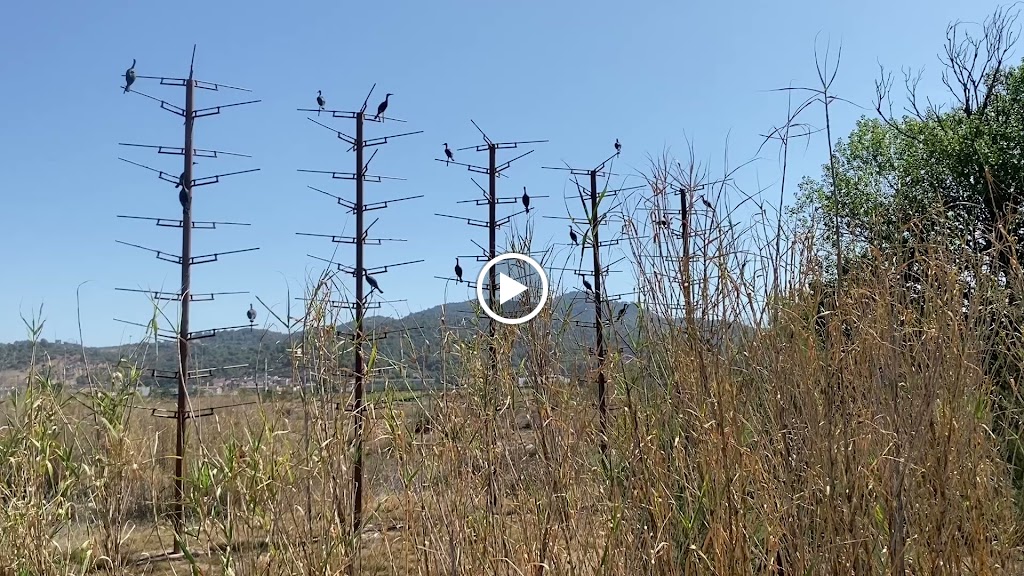 Humedales de Molins de Rey — Videos