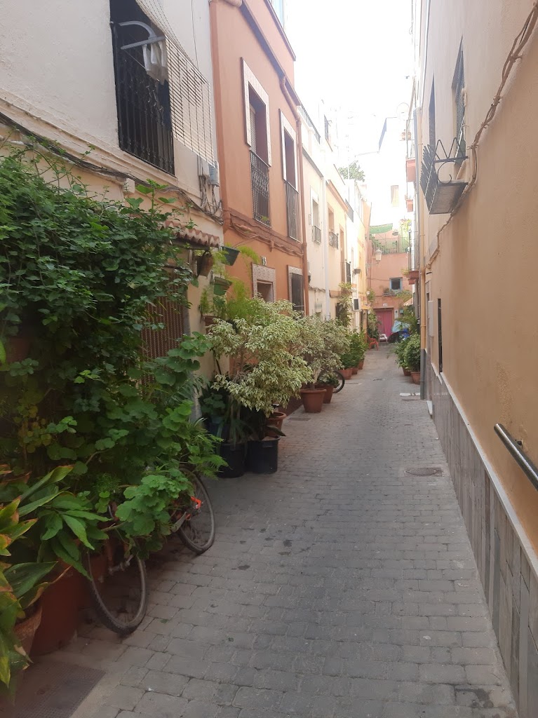 Calle Nueva Almunecar