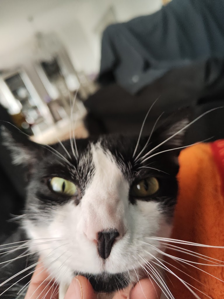 Freya
