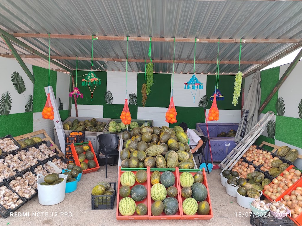 Venta sandia y melones de castilla la mancha — Comida y bebida