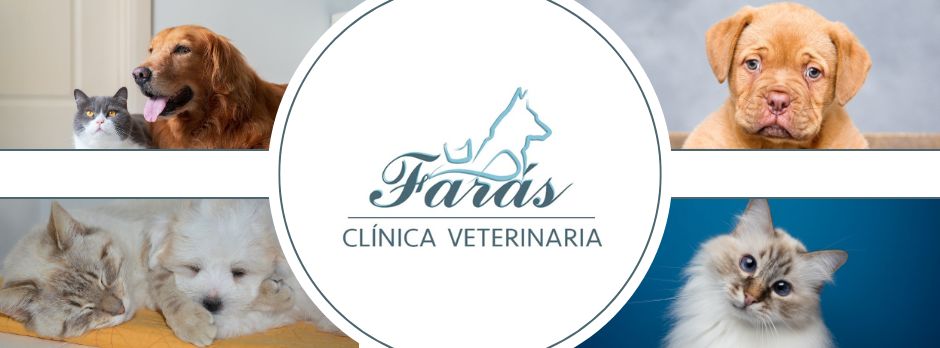 Clinica Veterinaria Faras