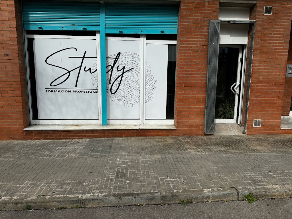 Study Formacion Profesional