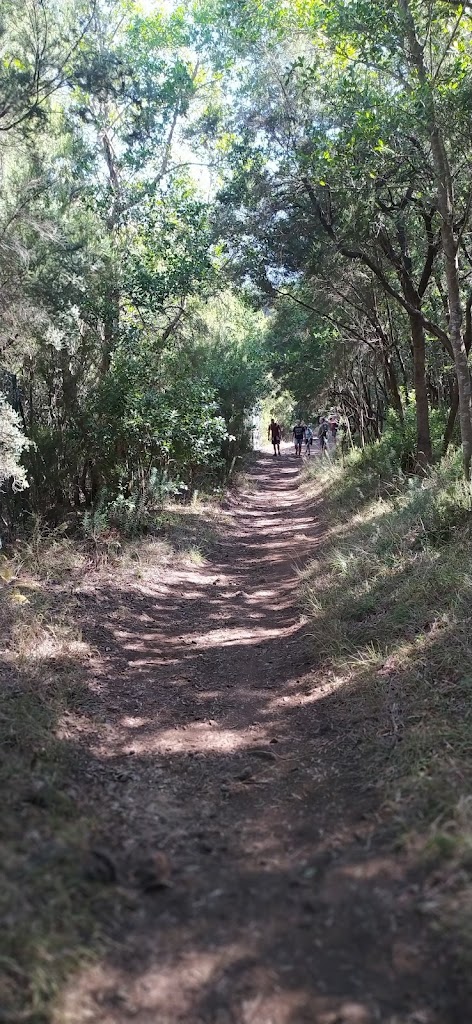 Cruz del Dornajito — Mirador de La Glorieta, Aguamansa, La Orotava