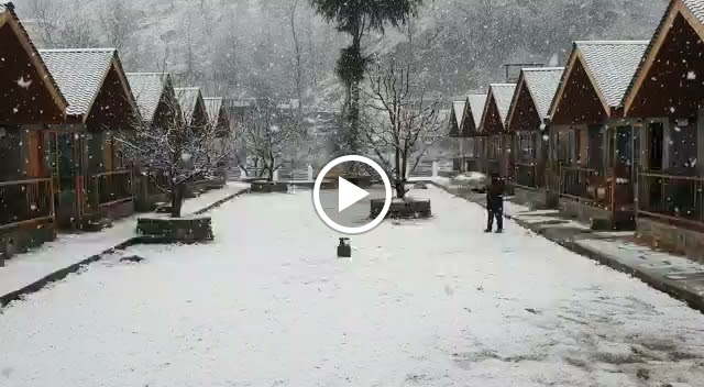 Videos