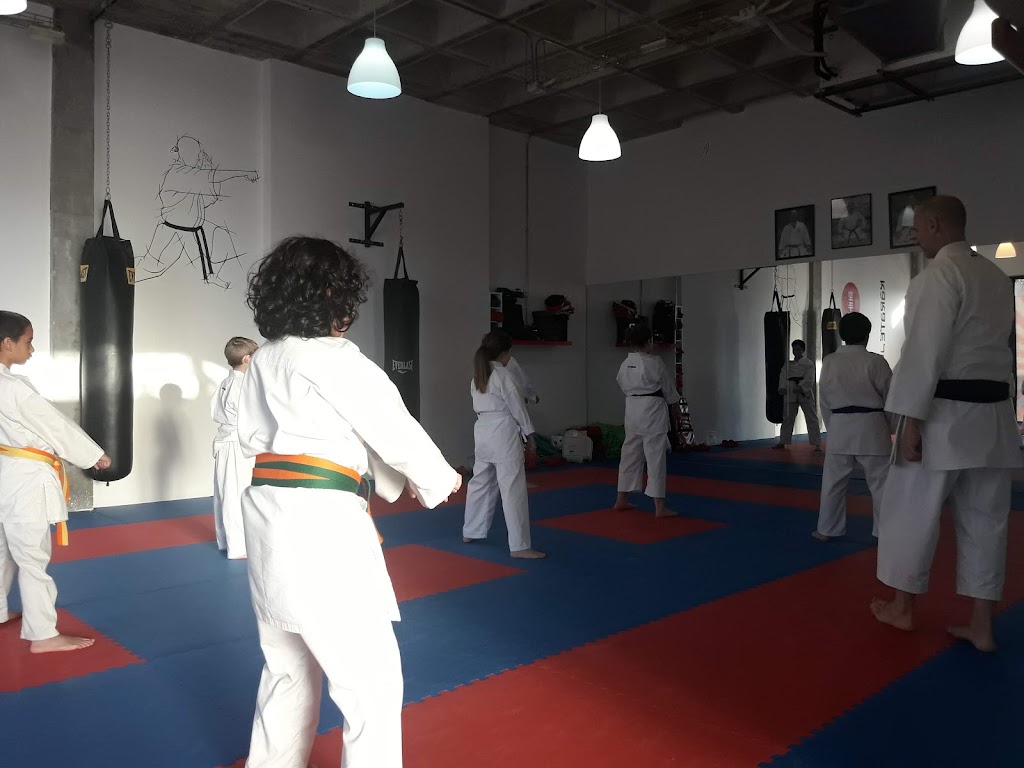 Escuela De Karate Lagos