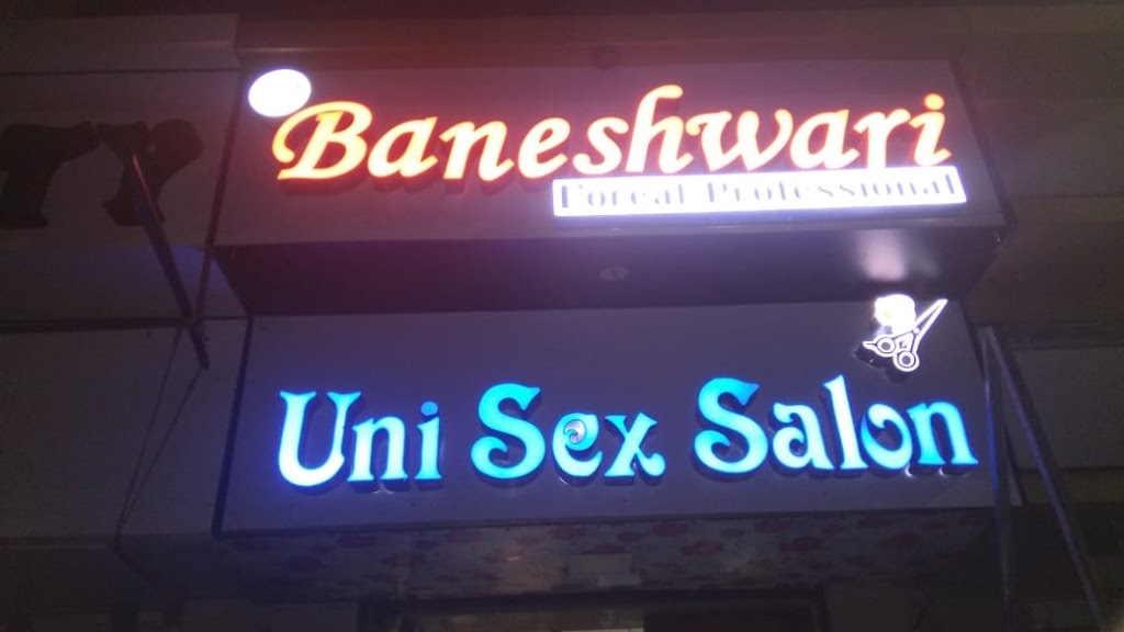 Shree Baneshwari L Oreal Professional Unisex Salon In Navsari