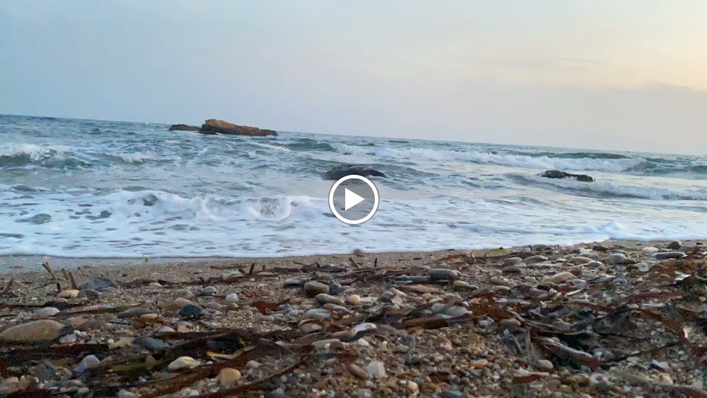 APARCAMIENTO — Videos