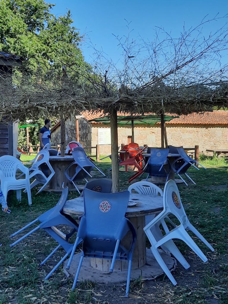 Bar Dona Tapa — Ambiente