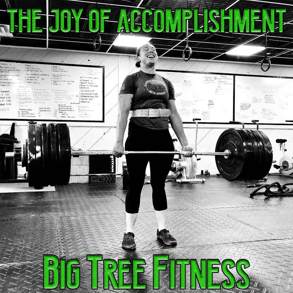 Big Tree Fitness