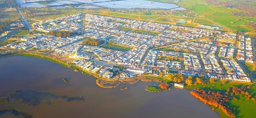 Ajardinamiento laterales parque empresarial la raya aljaraque