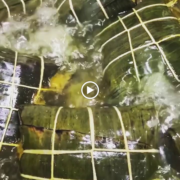 Nova Siena Restaurante — Videos