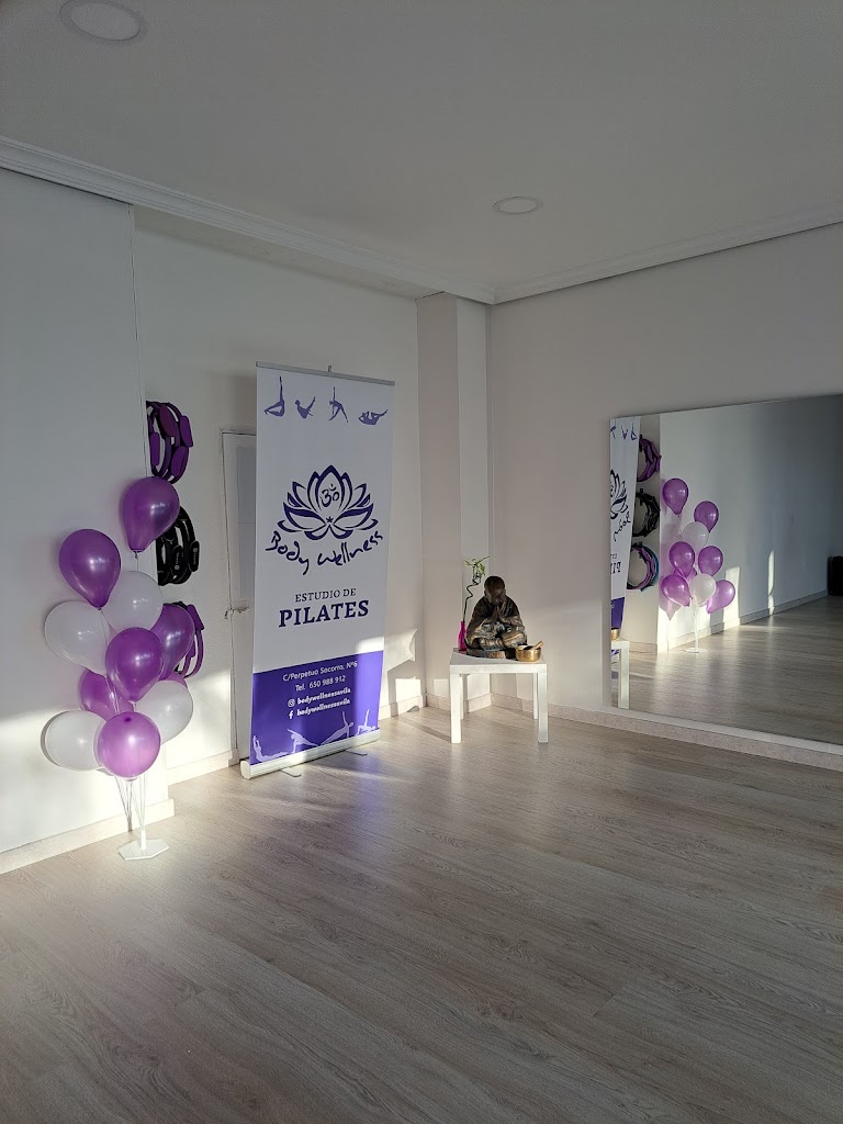 Estudio de Pilates Body Wellness — Del propietario