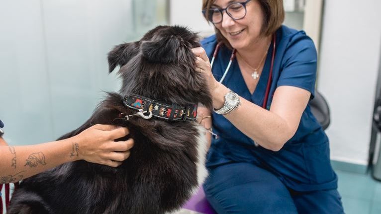 Clinica Veterinaria La Huella