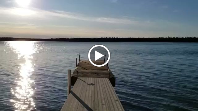  Goldfish Swim School - Algonquin