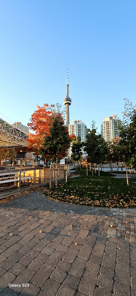 Harbourfront Centre