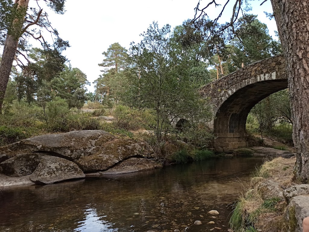 Puente Navalacarreta