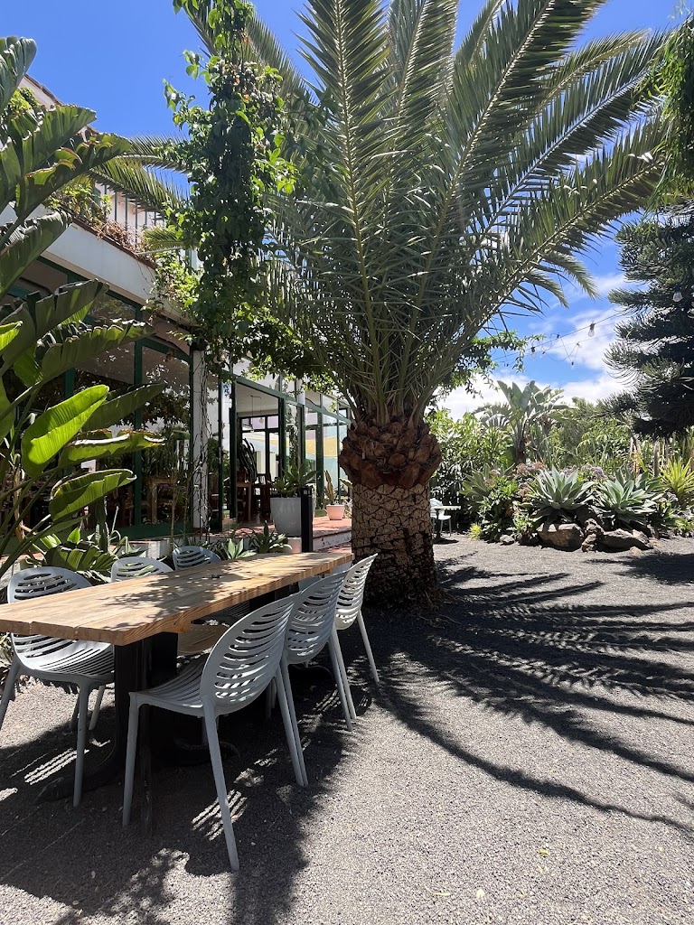 Secret Garden by Surfescape — Ambiente