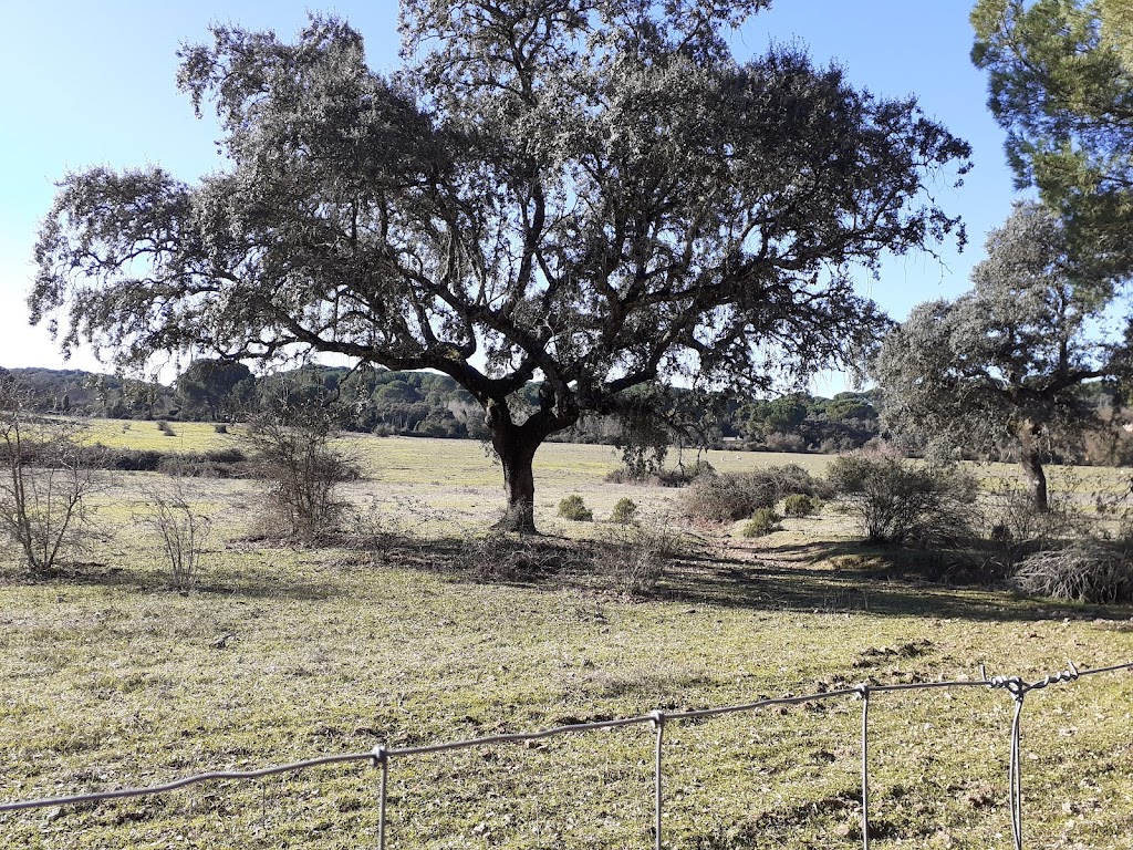Punto De Salida Ruta Sta Maria De Trassierra