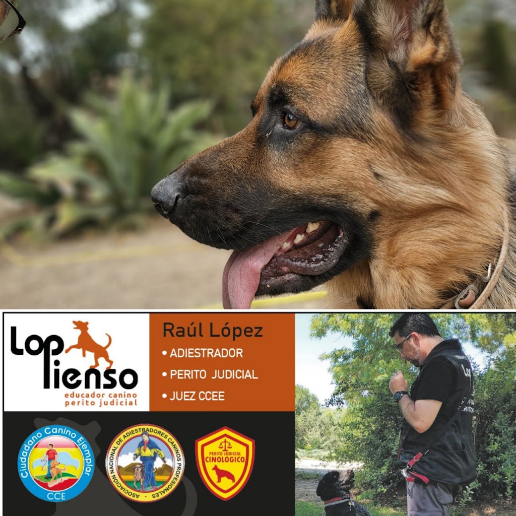 Educacion Canina LOPienso