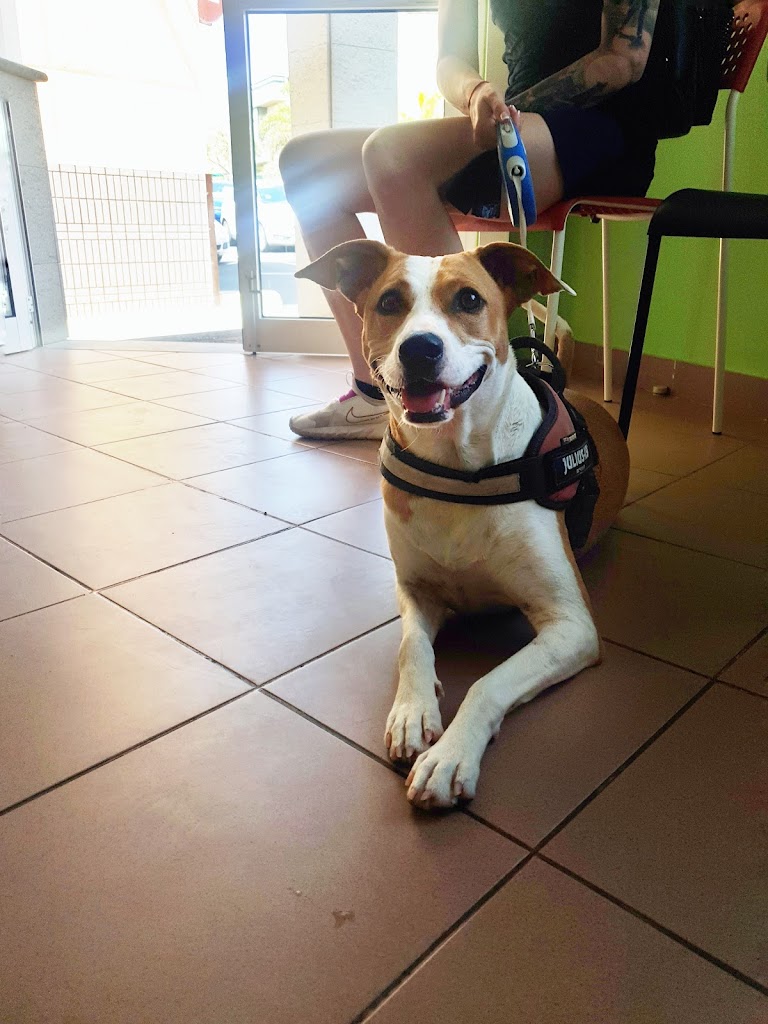 Clinica Veterinaria La Plaza