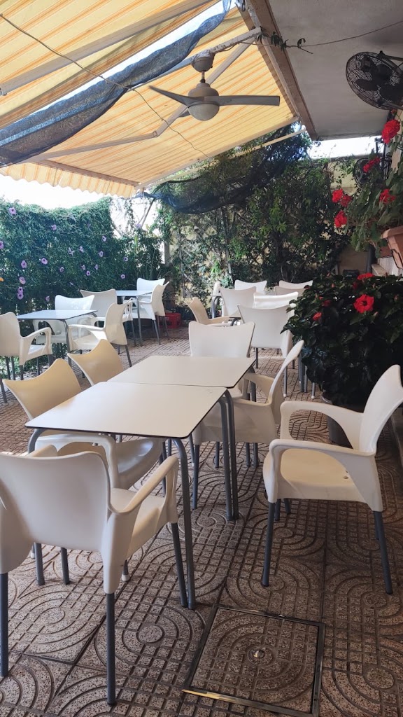 Bar Yegua Verde — Ambiente