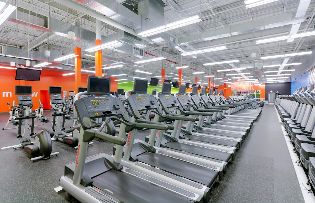  Blink Fitness (PureGym)