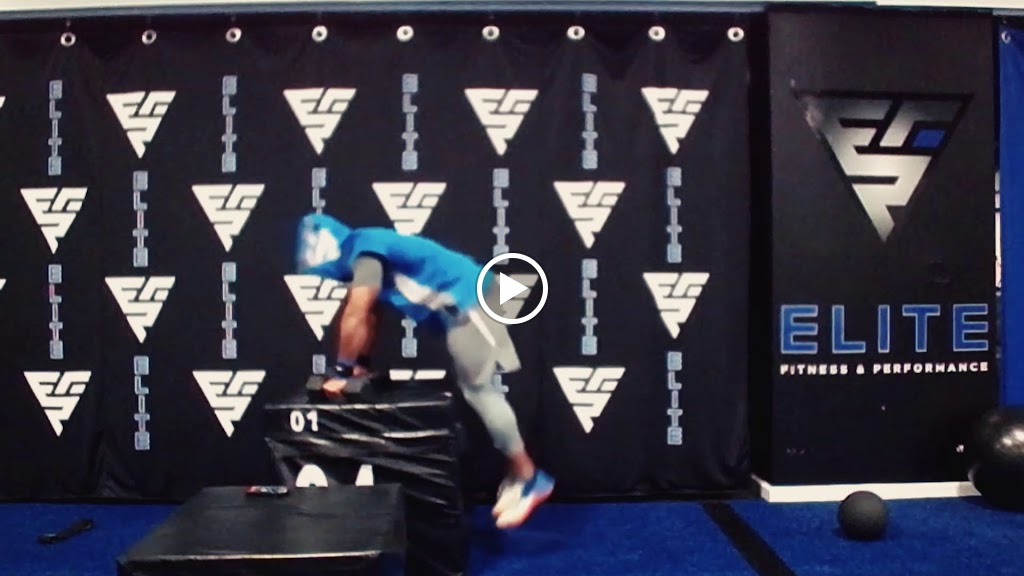  Elite Fitness & Performance